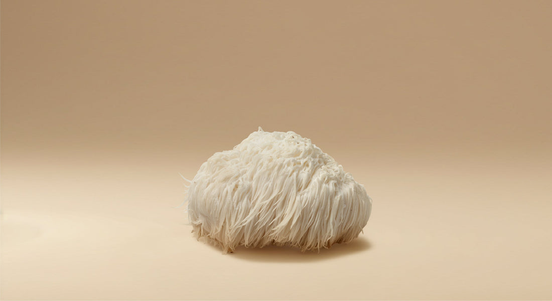 5 Science-Backed Benefits of Adaptogenic Mushrooms