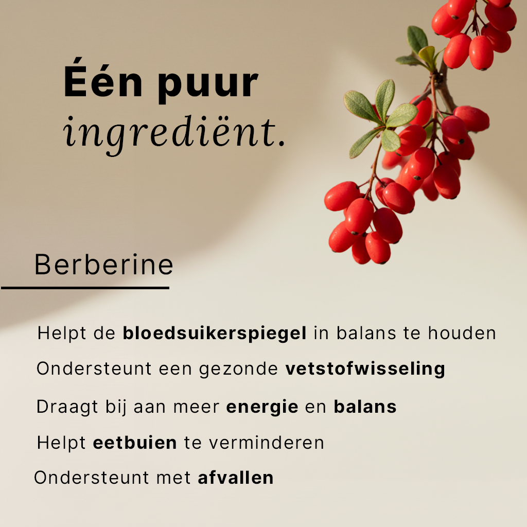 lang-nl