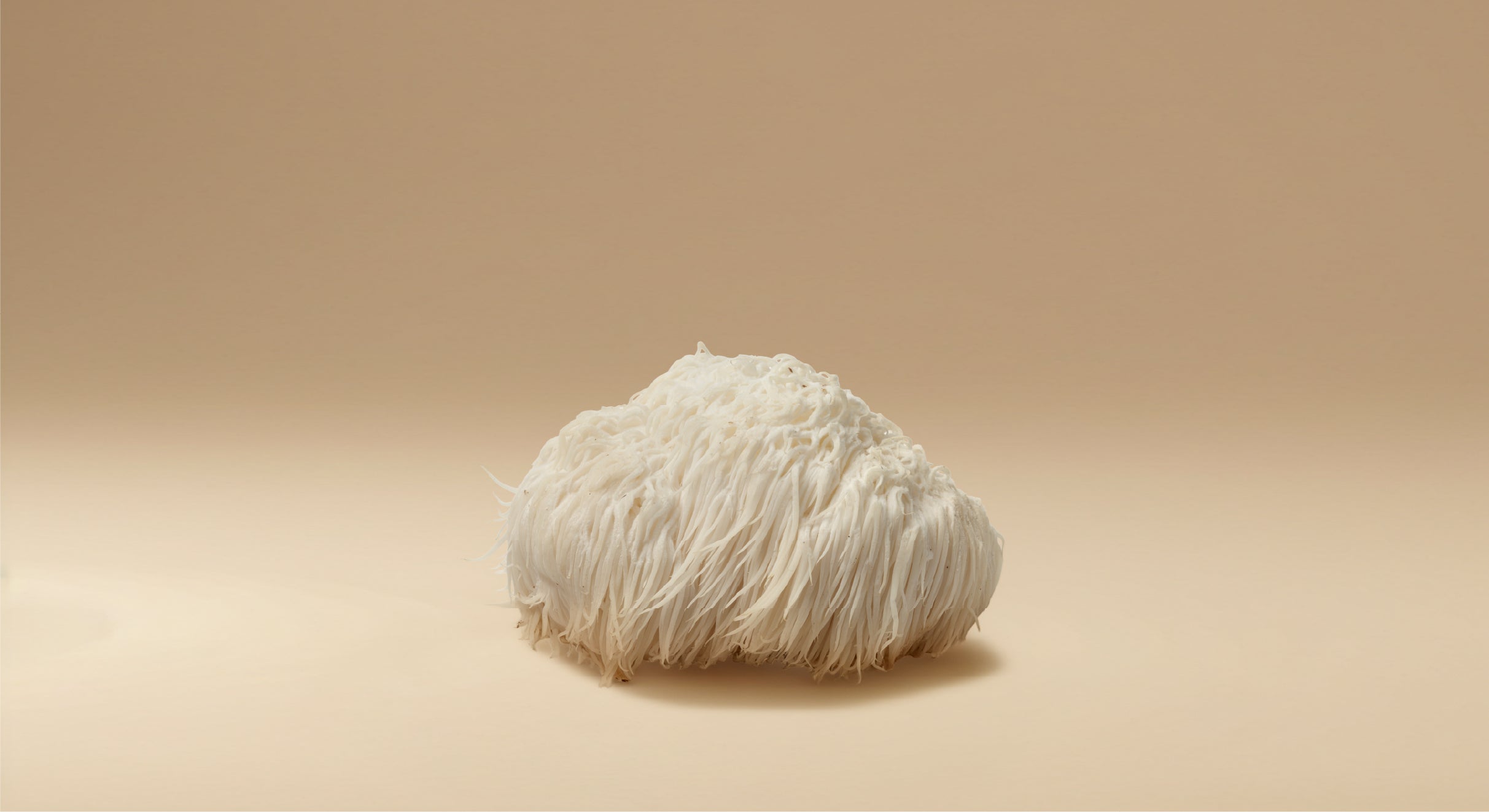 5 Science-Backed Benefits of Adaptogenic Mushrooms