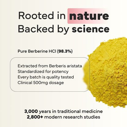 Advanced Berberine for Blood Sugar & Metabolic Balance