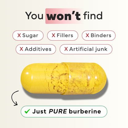 Advanced Berberine for Blood Sugar & Metabolic Balance