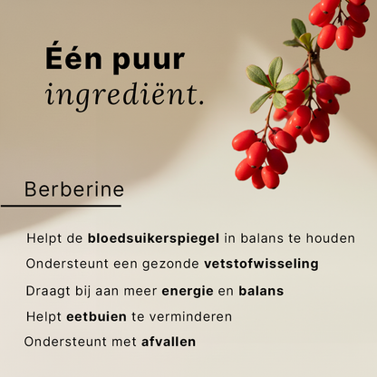 lang-nl